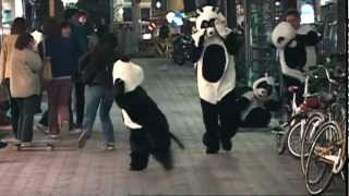 JACKASS NIGHT PANDAS [upl. by Ernestine]