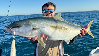 Yellowtail Kingfish Jigging amp Stick Baiting [upl. by Enytsirhc]