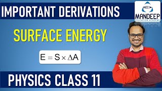 Surface Energy Class 11 Physics term 2 Important Derivations [upl. by Ocire]