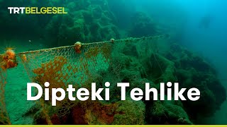 Dipteki Tehlike  TRT Belgesel [upl. by Ayirp]