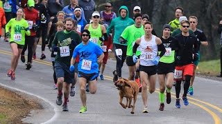 Dog Accidently Joins Half Marathon Finishes Race In 7th Place [upl. by Nnylhsa]