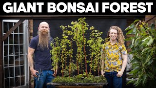 Giving a New Look to the DIY Bonsai Tree Planted Aquarium [upl. by Gomar]