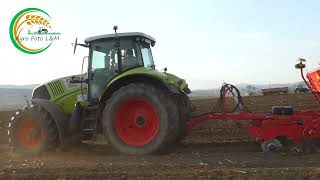 Claas Axion 820  Väderstad Rapid 300S  Sejba Soja  2022 [upl. by Wieren]