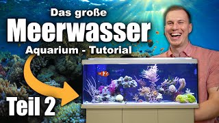 Das Meerwasseraquarium TUTORIAL Teil 2  Fische Wasserwerte Dosierung LOWBUDGET [upl. by Sarchet652]