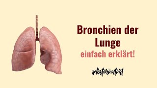 Bronchien der Lunge einfach erklärt  Anatomie det rechten amp linken Bronchien  Lunge  Deutsch [upl. by Annaya]