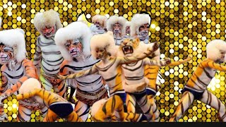 TRUMPET PILI DANCE FULL SONG🎷🎷tigerdance tiger manglore udupi tulunadu [upl. by Farrel]