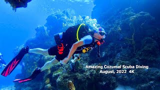 Amazing Cozumel Scuba Diving August 2022 in 4K [upl. by Ahsein]