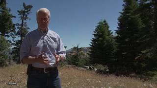 On the Ranch with Barry Zoeller Conifers [upl. by Suiramaj]