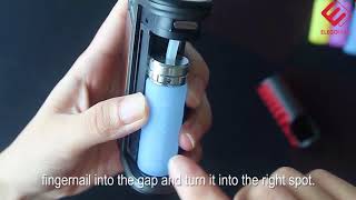 Therion BF DNA75C Box Tutorial Video [upl. by Bergeron943]