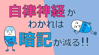 自律神経がわかれば暗記が減らせる！交感神経と副交感神経の仕組みを理解しよう！【看護の薬理】 [upl. by Stanford]