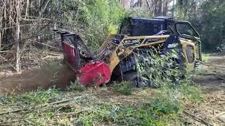 My Mulching Technique with the ASV 120 [upl. by Nitsu]