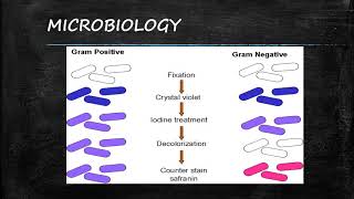 CIC Study Guide Series 1 Microbiology [upl. by Aeet126]