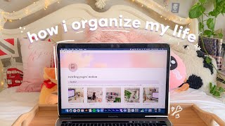 how i organize my life notion tour  free template [upl. by Kosey293]