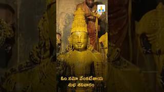 తిరుమలలోశ్రీవారి \ దర్శనం💕 TTDDARSHNAM SRIVARIDARSHNAM TIRUMALA TRENDING VIRAL YTSHORTS [upl. by Sandie]