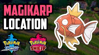 How to Catch Magikarp  Pokemon Sword amp Shield [upl. by Aisyram276]