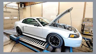 Ls Swapped New Edge Mustang  NA Ls powered  Dyno Review [upl. by Abbey465]