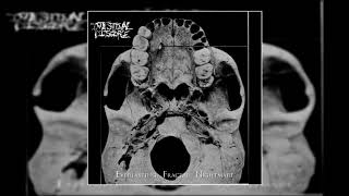 Intestinal Disgorge  Everlasting Fractal Nightmare Full Album [upl. by Kendall316]