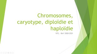 Chromosomes caryotype diploïdie et haploïdie [upl. by Isteb]