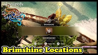 Horizon Burning Shores Brimshine Locations in Horizon Forbidden West [upl. by Nylodnarb743]