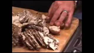 Why Paul Stamets does not like Portobello mushrooms [upl. by Noli]