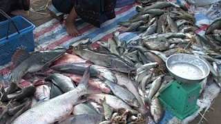 Fisheries in Lao PDR by Mekong River Commission [upl. by Hebert]