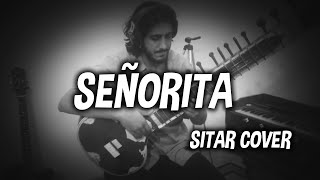 Señorita Sitar Cover  Typical Musician [upl. by Yran768]