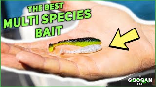 The BEST MULTI SPECIES Fishing LURE  Fishing Tips [upl. by Gurango133]