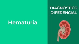 Diagnóstico Diferencial Hematuria [upl. by Yokum919]