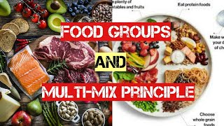 Understanding Caribbean Food Groups and The Multimix Principle [upl. by Aisital]