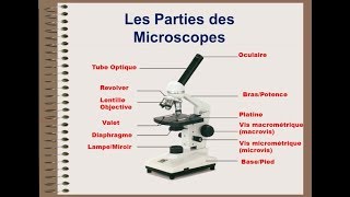 Microscope optique  biologie cellulaire [upl. by Aitnohs740]