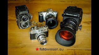 Analog Fotografieren und Entwickeln lassen  Film  Tutorial und Vergleich [upl. by Nnahtebazile]