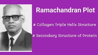 RAMACHANDRAN PLOT COLLAGEN HELIX collagen protein [upl. by Repsag997]