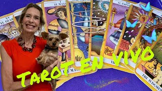 Tarot en Vivo ⭐️ tarot tarotvivo tarotexpress lecturadetarot [upl. by Nennek505]