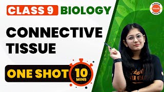 Connective Tissue One Shot 10 Min  Tissues Class 9  NCERT 9th Science Biology Chapter6 Cbse2024 [upl. by Lama]