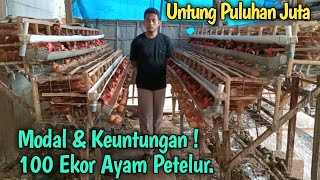 Modal amp Keuntungan  100 Ekor Ayam Petelur [upl. by Aterg200]