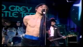 Iggy Pop live OGWT 1979 [upl. by Yggam]