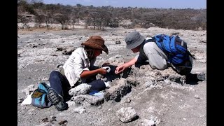 In Search of Human Origins A Paleontologist’s Perspective [upl. by Uile]