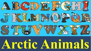 ABC Alphabet Arctic Animal  abc book Alphabetimals for kids  Animal Alphabet a to z flash cards [upl. by Moina]