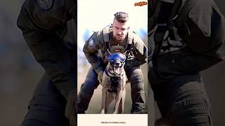 🔝💯❤️TRAINING DOG germanshepherd dog pets malinois pubg [upl. by Aidua869]