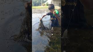 Amazing hook fishing trap Best hook fishing Fishing by hook shorts shortsvideo fish [upl. by Anivle618]