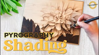 Pyrography Techniques  Shading  How to Shade with a Wood Burner [upl. by Desmond114]