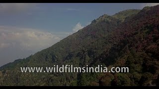 Aerial view of Dhaulagiri mountain and Lali Gurans [upl. by Nohsed]