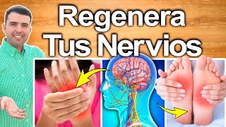 REGENERA TUS NERVIOS  Tienes Daño Nervioso y No Lo Sabes  Como Revertir Neuropatia [upl. by Leunamesoj]