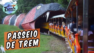 PASSEIO DE TREM DO BETO CARRERO  COMPLETO [upl. by Brucie]