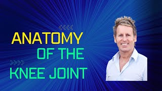 Functional Anatomy of the Knee Joint by John Gibbons [upl. by Parrisch182]