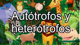 Autótrofos y heterótrofos Canal Nivel de Primaria [upl. by Ingrid]