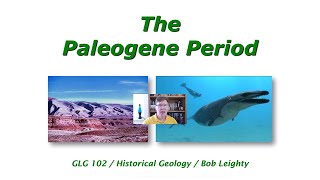 The Paleogene Period [upl. by Amirak]