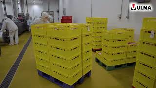 Automated packaging lines in Coral LLC one of the largest meat producers in Russia [upl. by Neros]