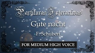 Gute Nacht KARAOKE FOR MEDIUM HIGH VOICE  F Schubert  Key C Minor [upl. by Biernat490]