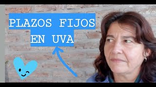 PLAZO FIJO UVA🤑 ¿Cómo Funcionan 🖊 Asientos contables [upl. by Penthea]